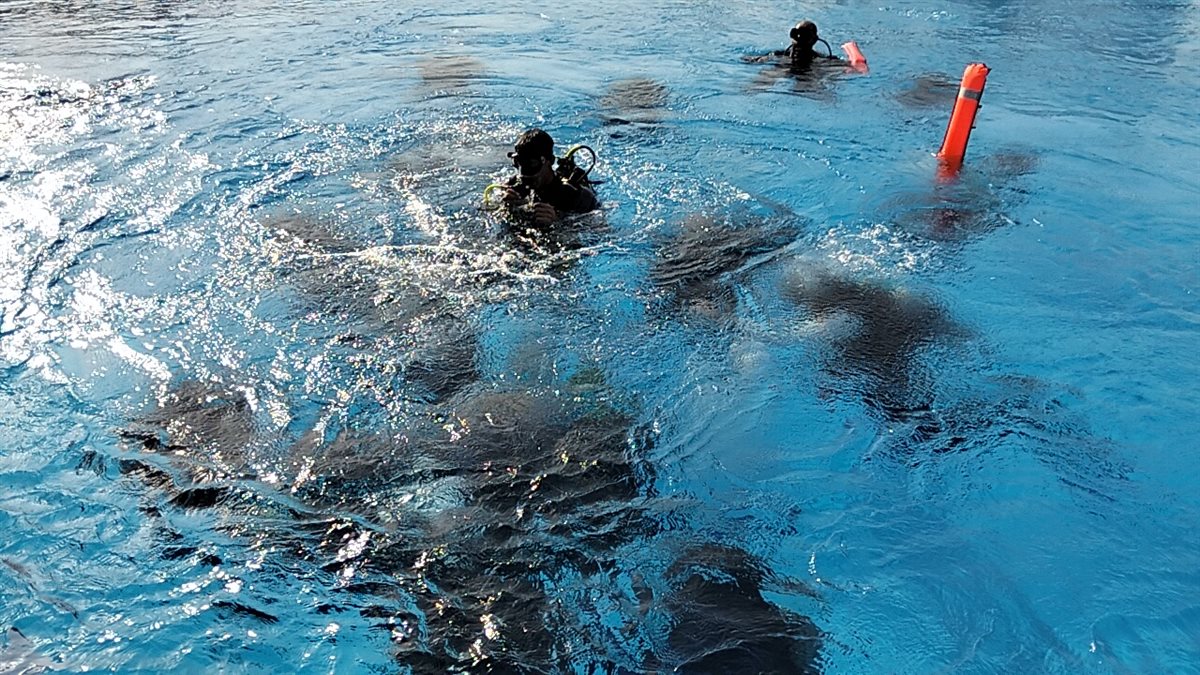 لحظة خروج ولاء حافظ من المياه، فيتو