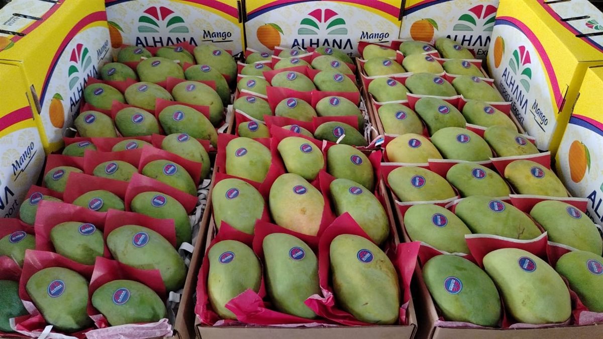 <strong>سعر المانجو اليوم في سوق العبور، فيتو</strong>