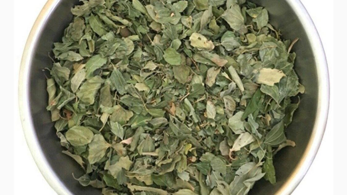 ورق السدر وفوائده