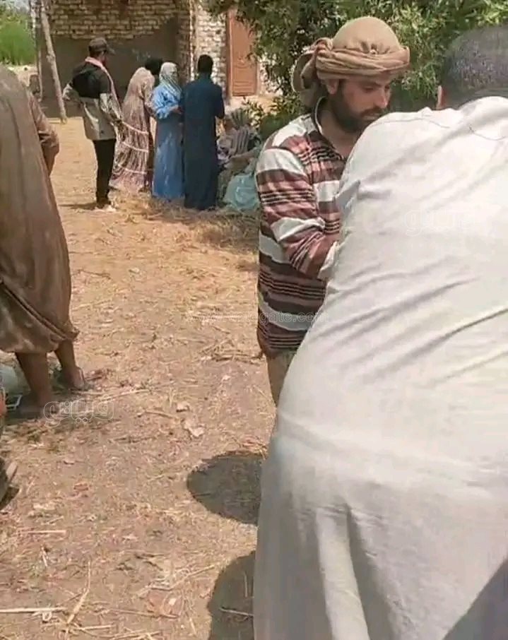 حوادث الطرق بالشرقية،فيتو