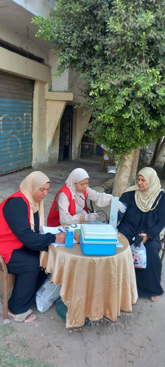 جانب من فعاليات المبادرة، فيتو