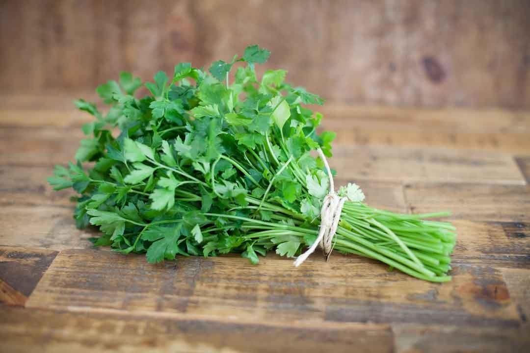 <strong>أسعار الشبت والبقدونس والكزبرة</strong>