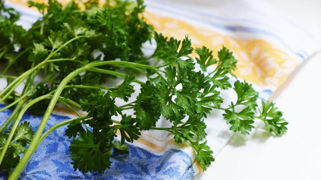 <strong>أسعار الشبت والبقدونس والكزبرة</strong>