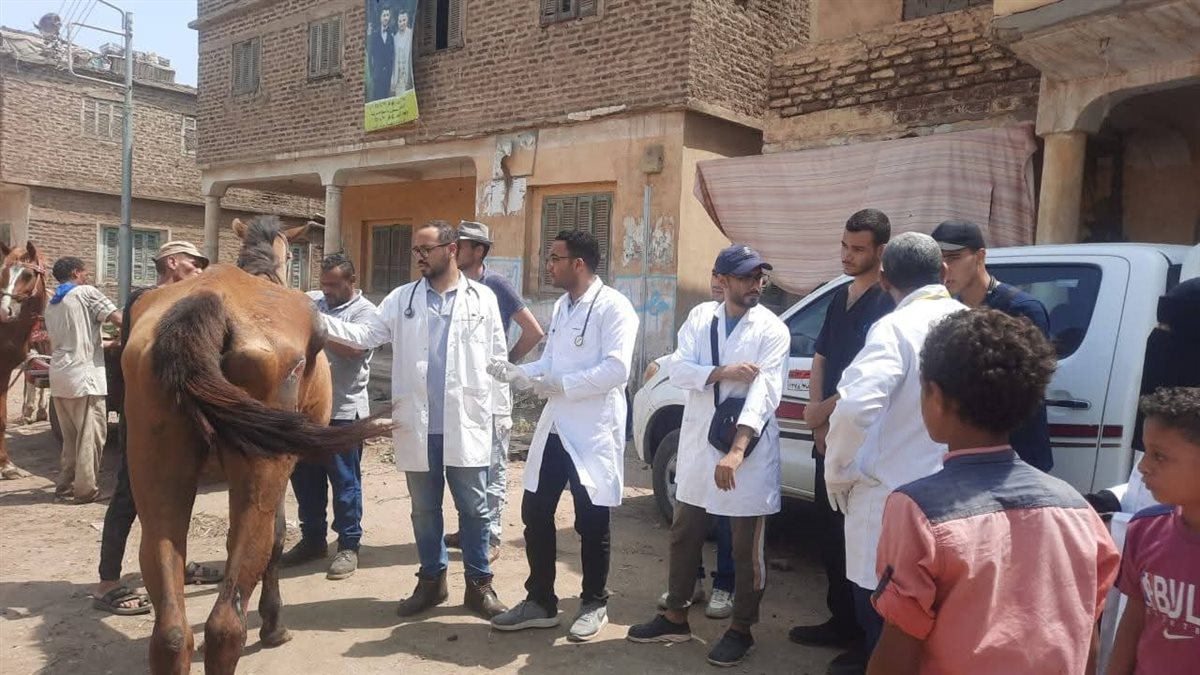 قافلة بيطرية علاجية مجانية بالنواصرية تخدم 929 حالة متنوعة