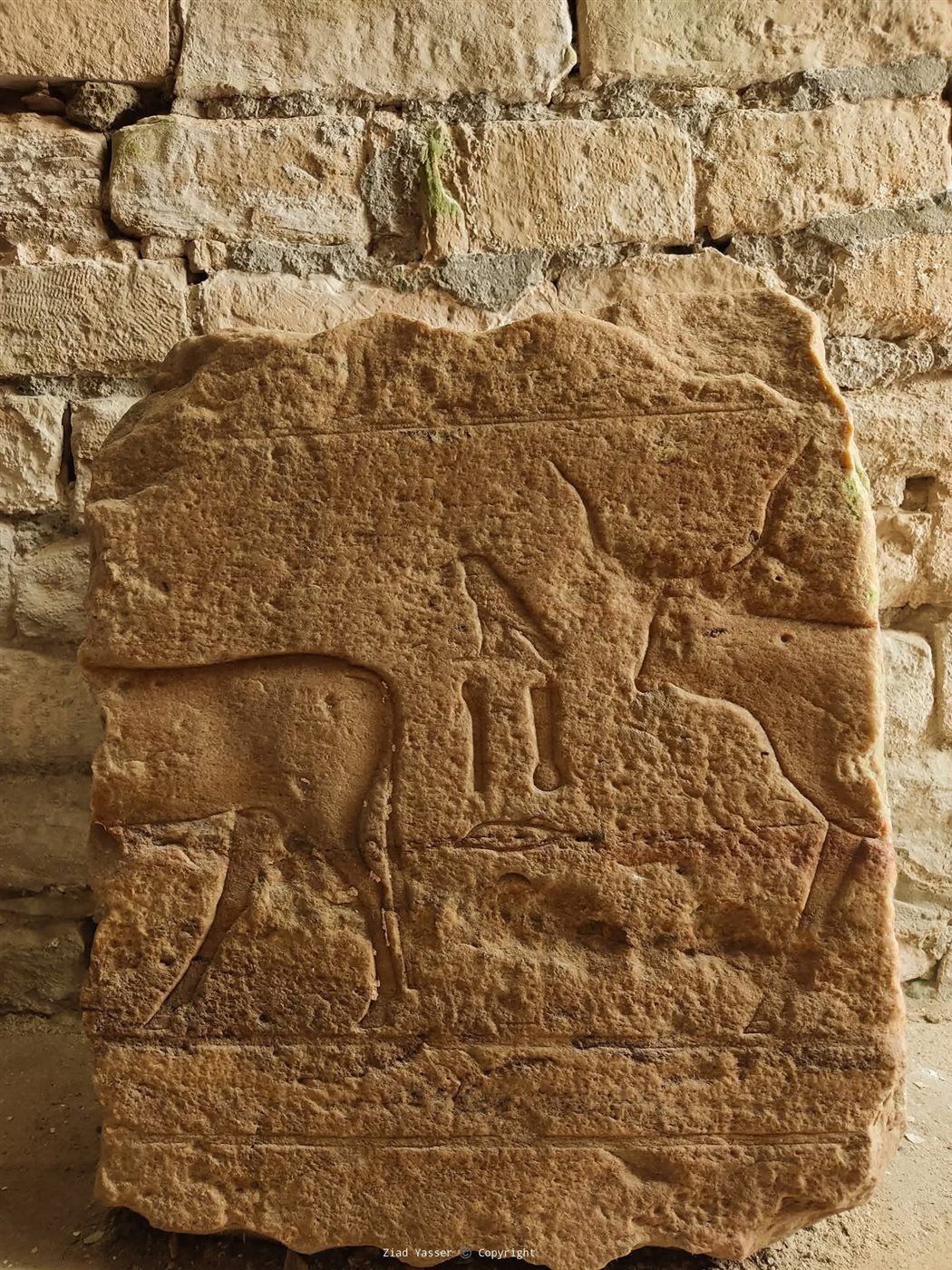 قلعة قايتباي في رشيد، فيتو