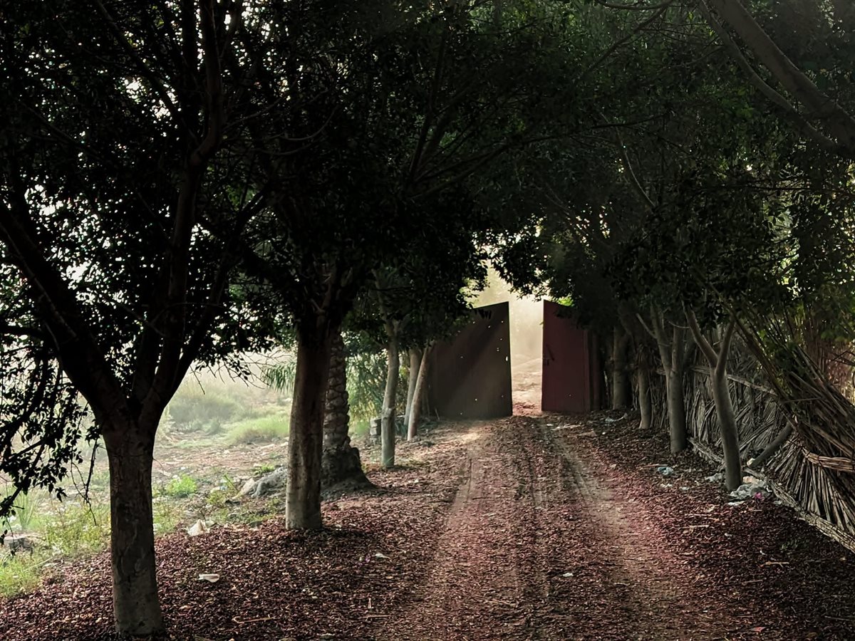 ريف مدينة رشيد، فيتو