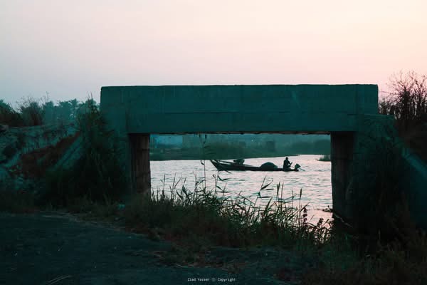 بحيرة ادكو، فيتو