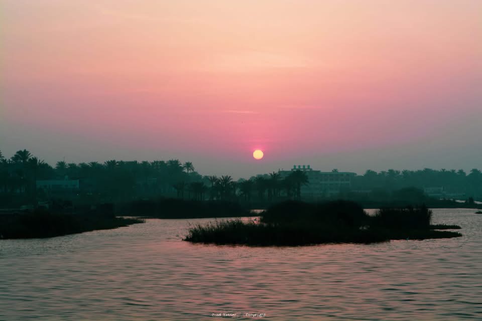 بحيرة ادكو، فيتو