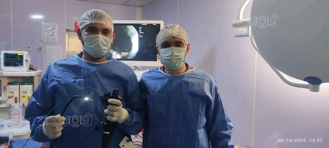 بمنظار الطوارئ.. إنقاذ طفلة بالشرقية من موت محقق بعد ابتلاع عملة معدنية،فيتو