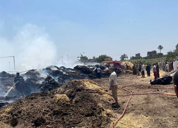 حريق بمزرعة مواشي بالقليويية، فيتو