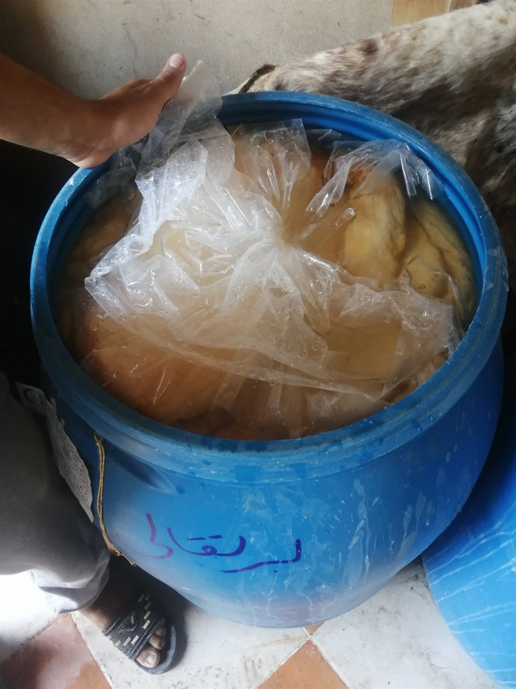 ضبط 3.7 طن منتجات حيوانية مجهولة المصدر بالقليوبية،فيتو 