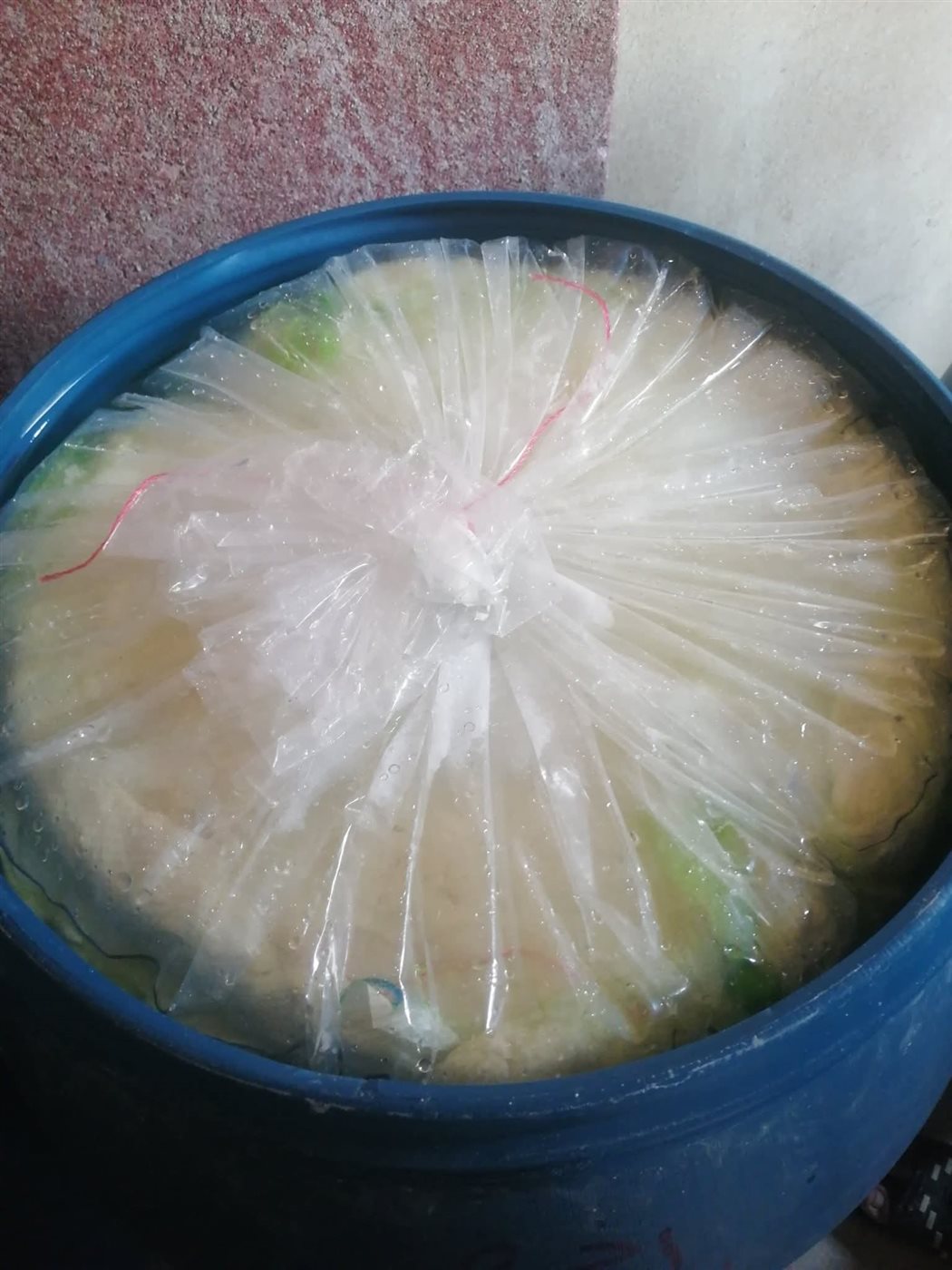 ضبط 3.7 طن منتجات حيوانية مجهولة المصدر بالقليوبية،فيتو 