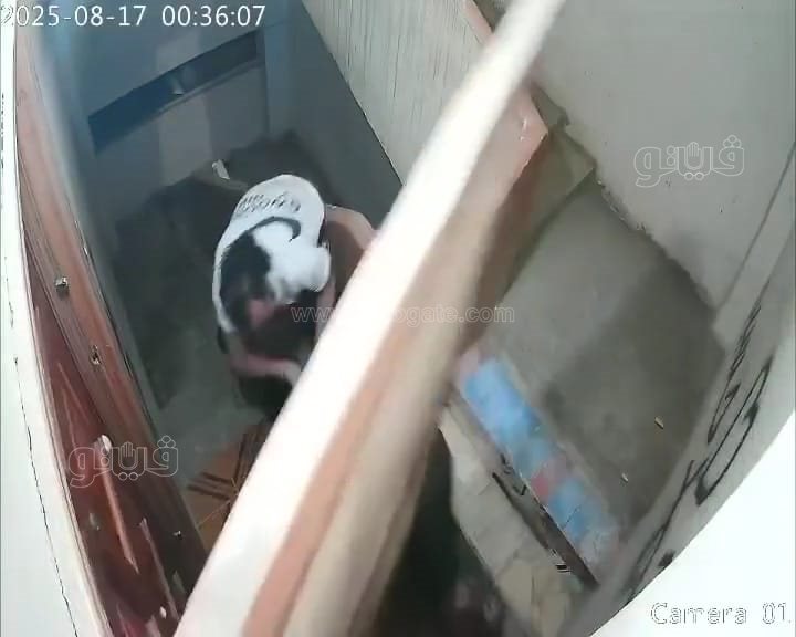 فيديو صادم يثير الجدل.. سيدة تتهم زوجة شقيق زوجها بالاعتداء المتكرر بالشرقية,فيتو