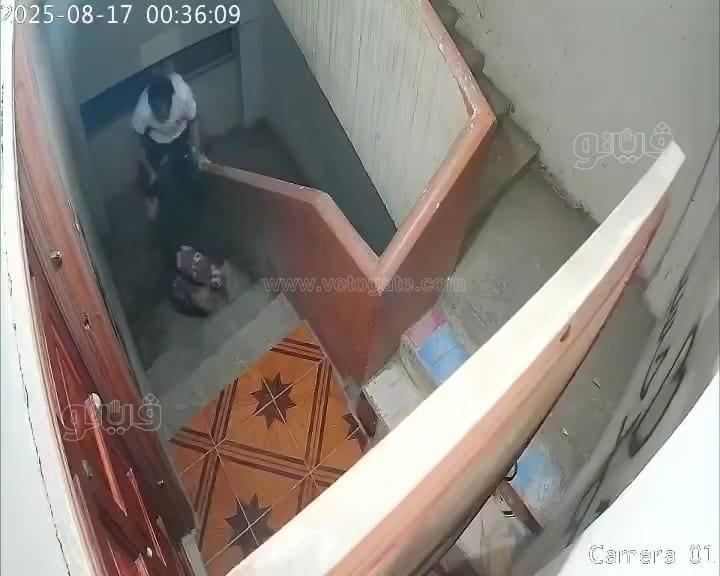 فيديو صادم يثير الجدل.. سيدة تتهم زوجة شقيق زوجها بالاعتداء المتكرر بالشرقية,فيتو