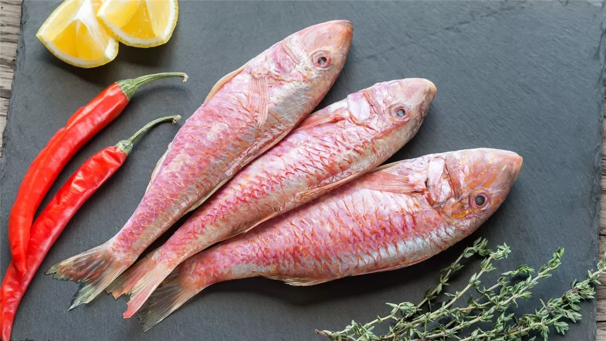 <strong>سعر السمك اليوم </strong>