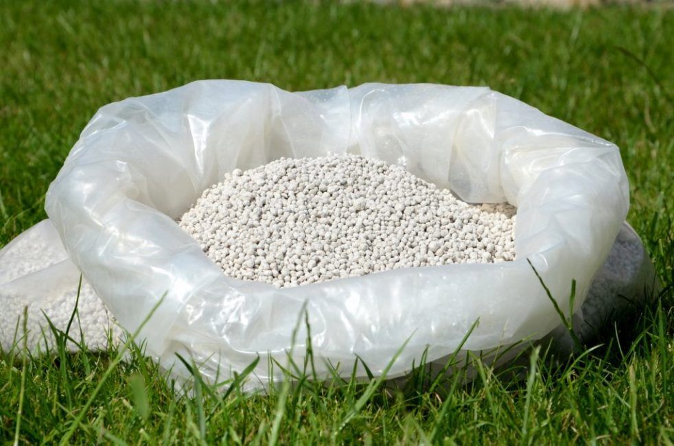 <strong>أسعار الأسمدة اليوم، فيتو</strong>