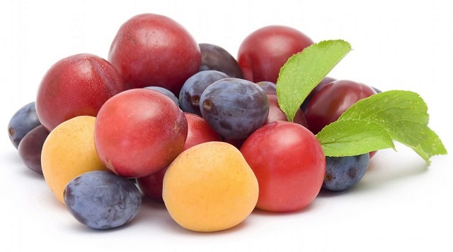 البرقوق لصحتك