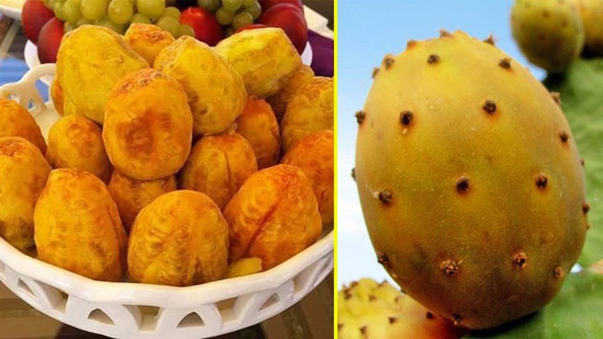 التين الشوكي