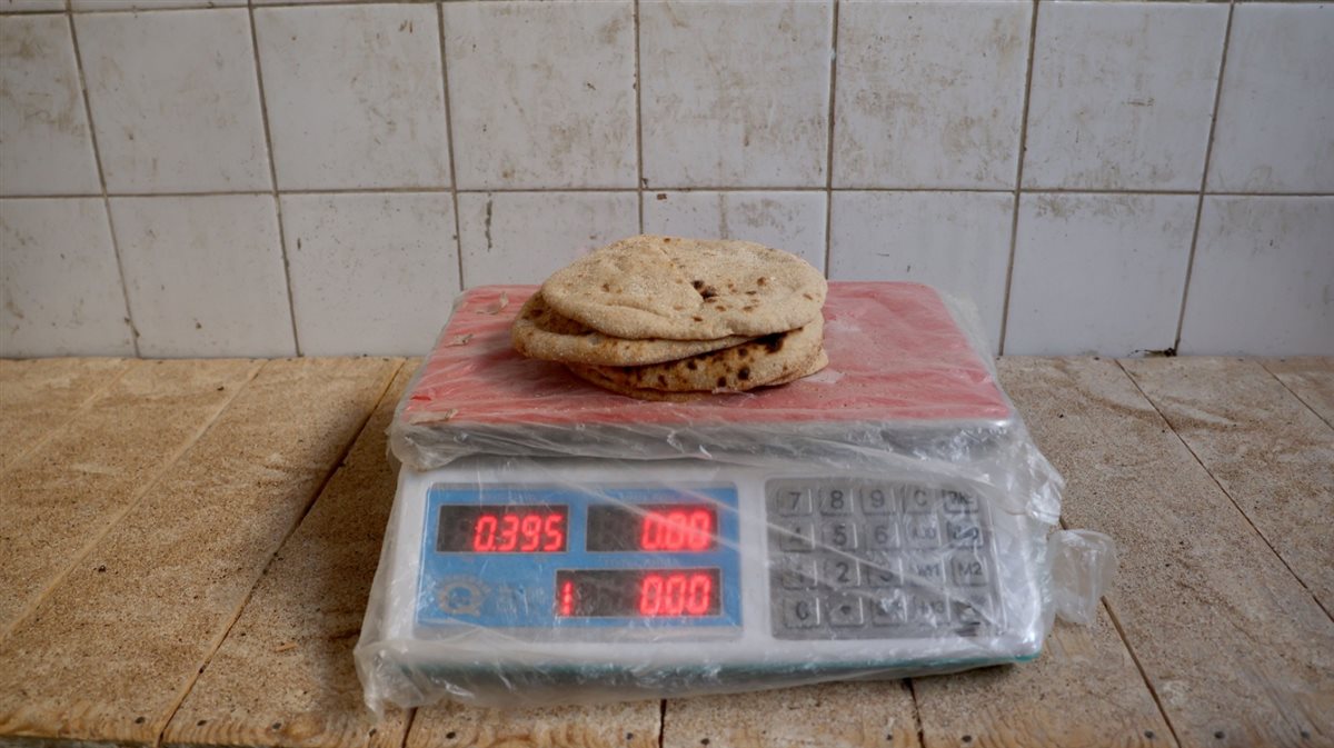 جانب من الجولة،فيتو 