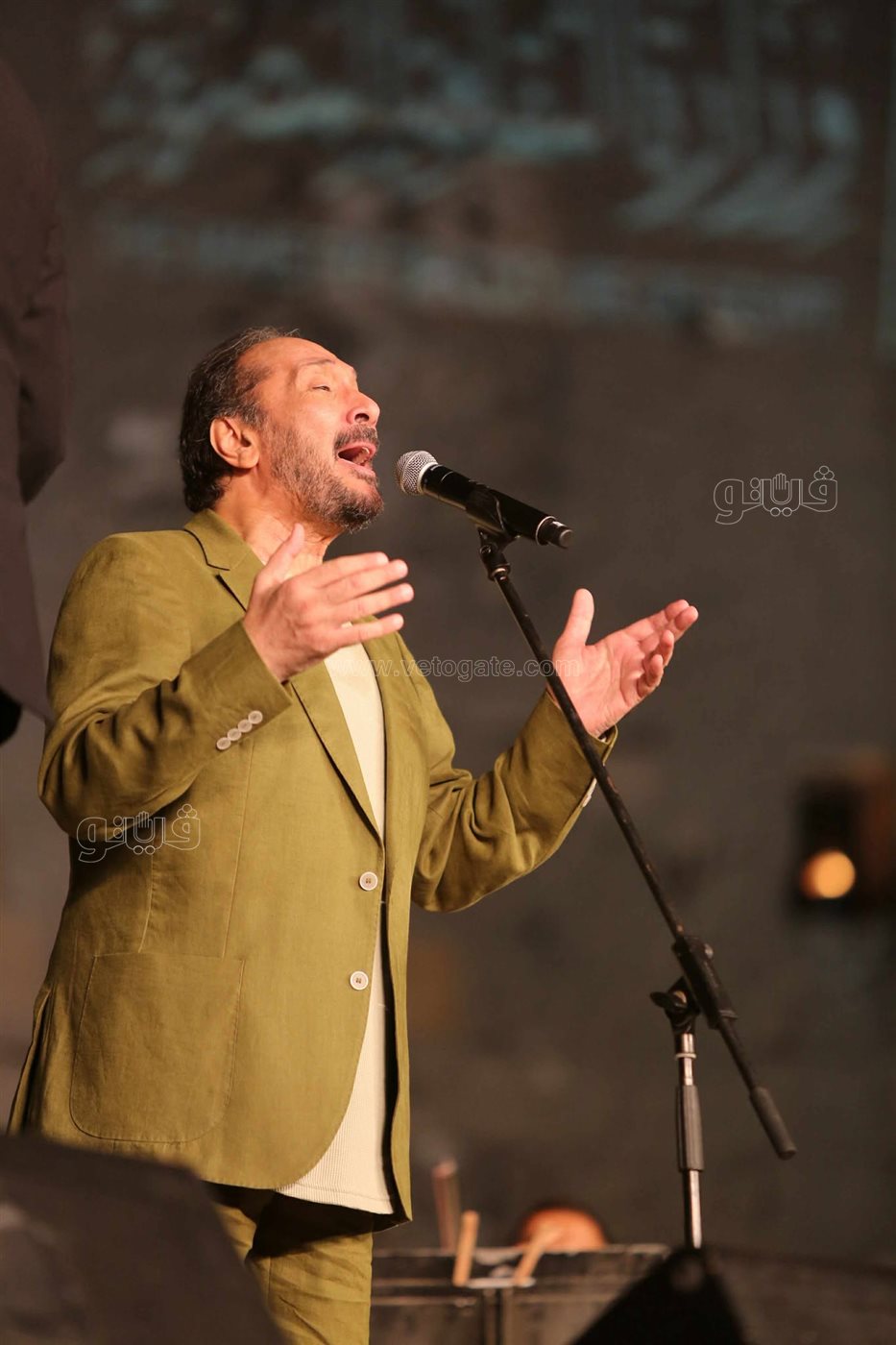 حفل علي الحجار (3)