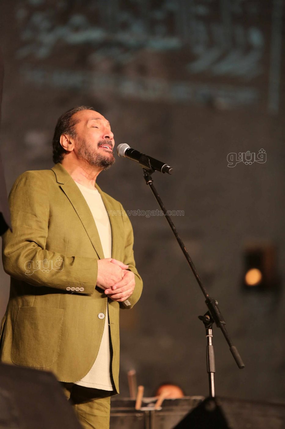 حفل علي الحجار (6)