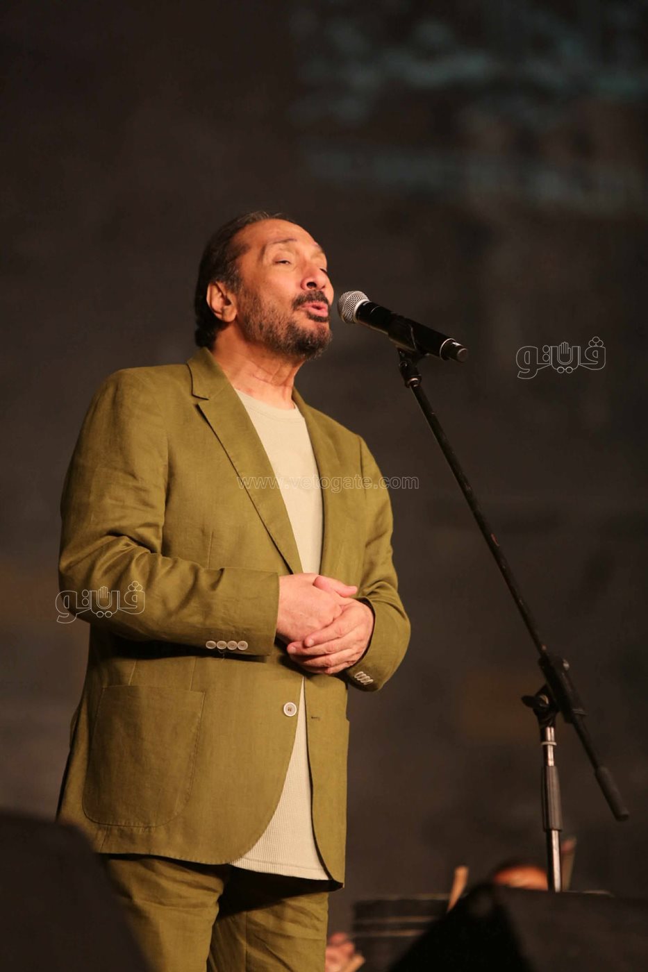 حفل علي الحجار (11)