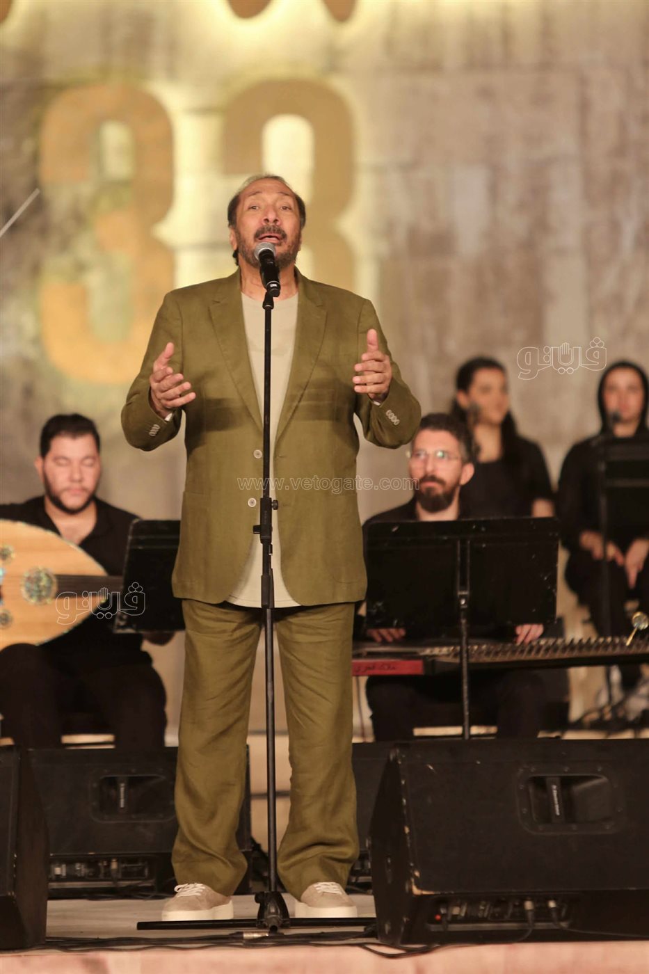 حفل علي الحجار (12)