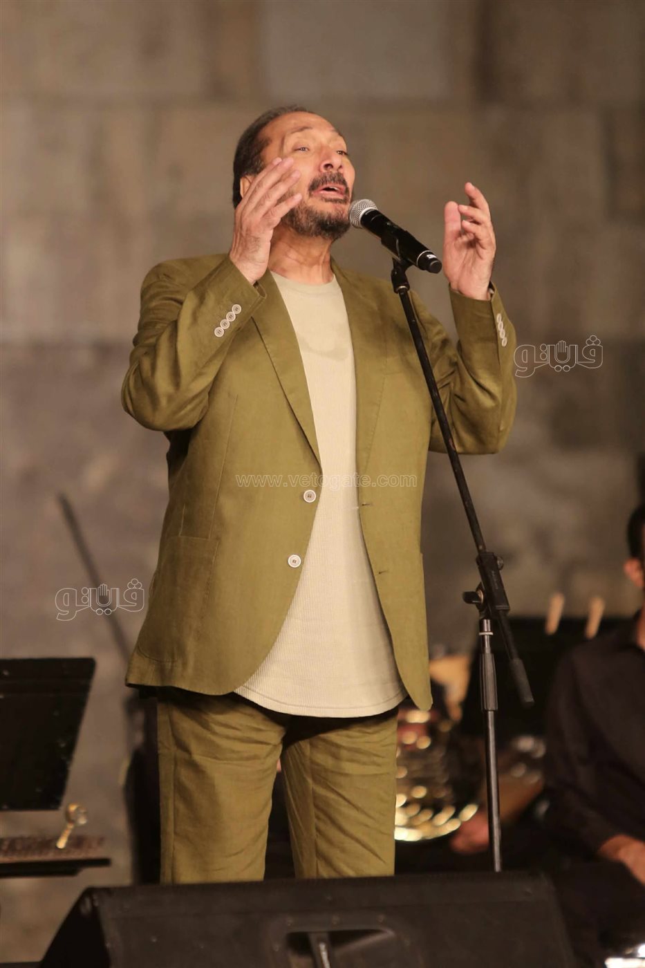 حفل علي الحجار (13)