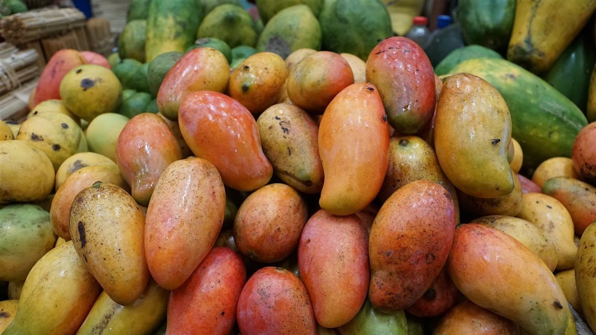 سعر المانجو اليوم في سوق العبور، فيتو