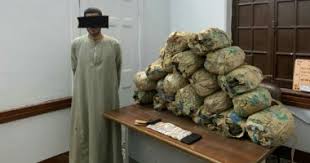 ضبط تاجر مخدرات بحوزته 60 كيلو بانجو بقنا.. وكشف غموض العثور على جثة عاطل - اليوم السابع