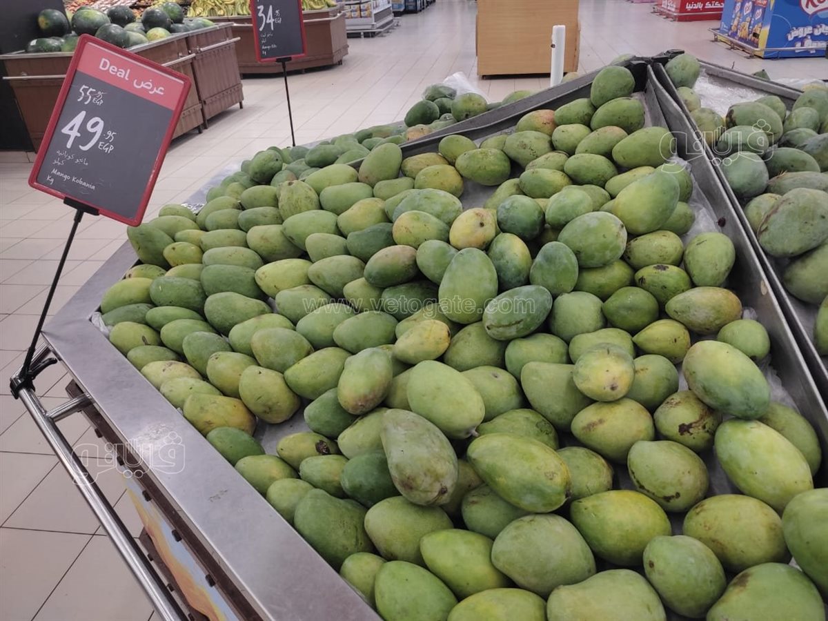 سعر المانجو اليوم، فيتو