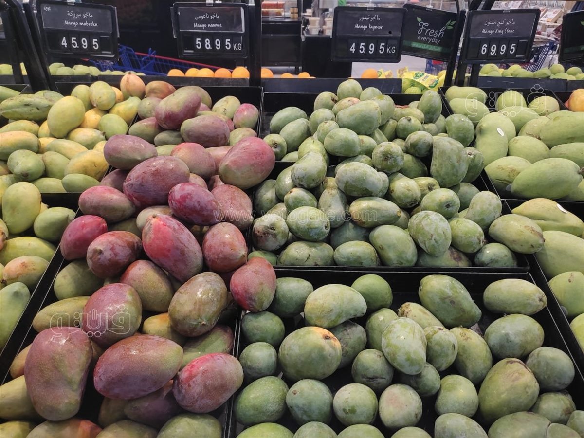 سعر المانجو اليوم، فيتو