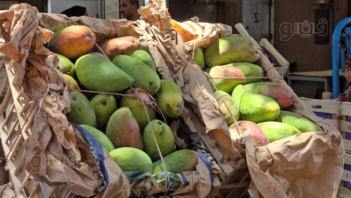 <strong>سعر المانجو اليوم في سوق العبور، فيتو</strong>
