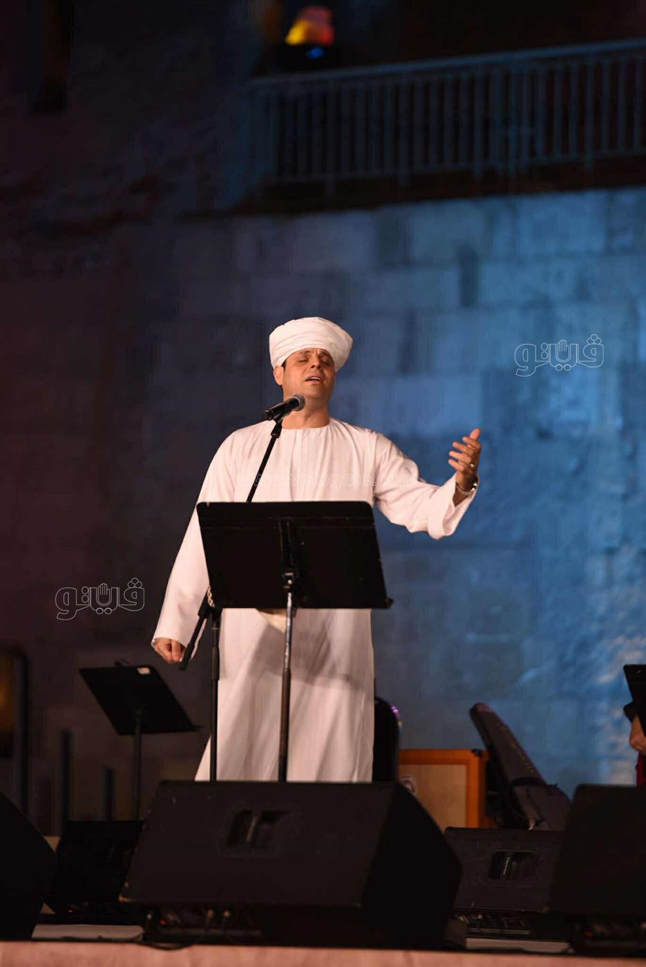 محمود التهامي يختتم حفلات مهرجان القلعة (13)