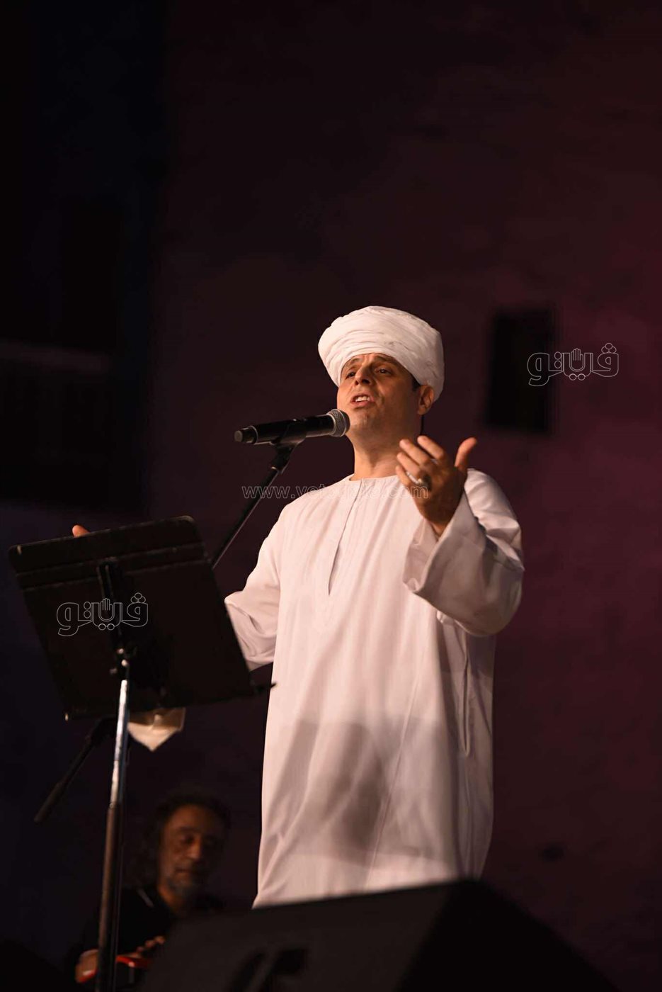 محمود التهامي يختتم حفلات مهرجان القلعة (20)