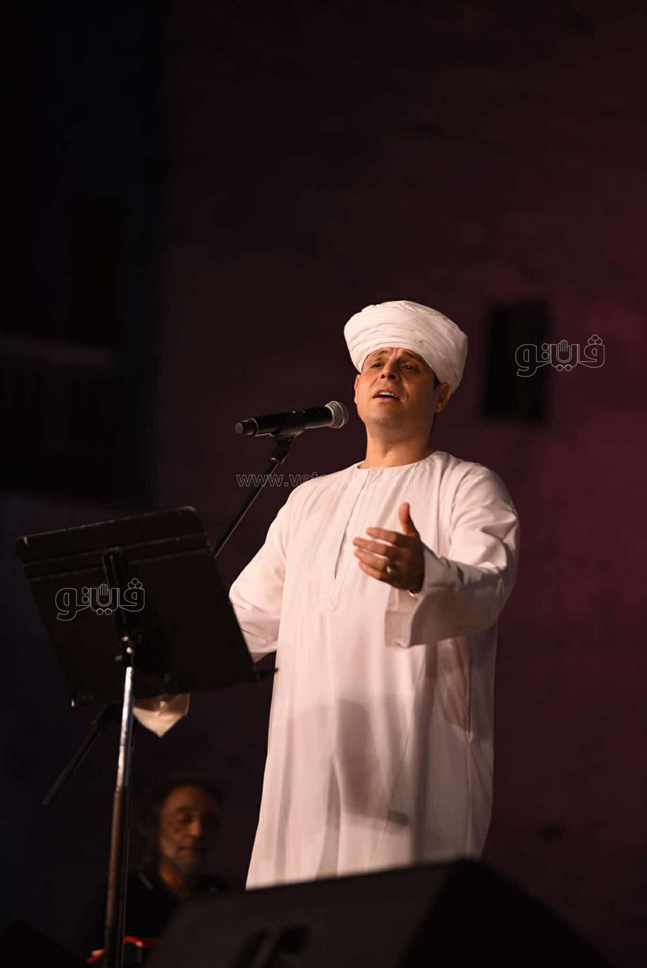 محمود التهامي يختتم حفلات مهرجان القلعة (21)