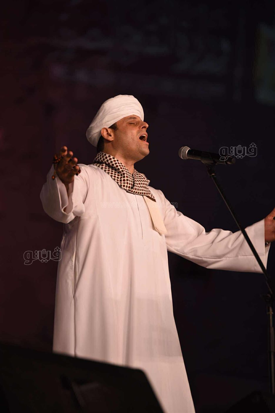 محمود التهامي يختتم حفلات مهرجان القلعة (25)