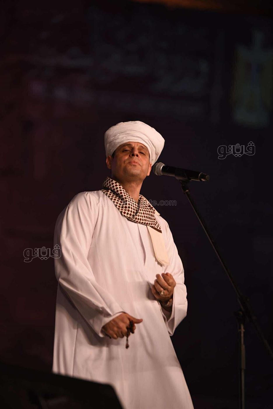 محمود التهامي يختتم حفلات مهرجان القلعة (26)