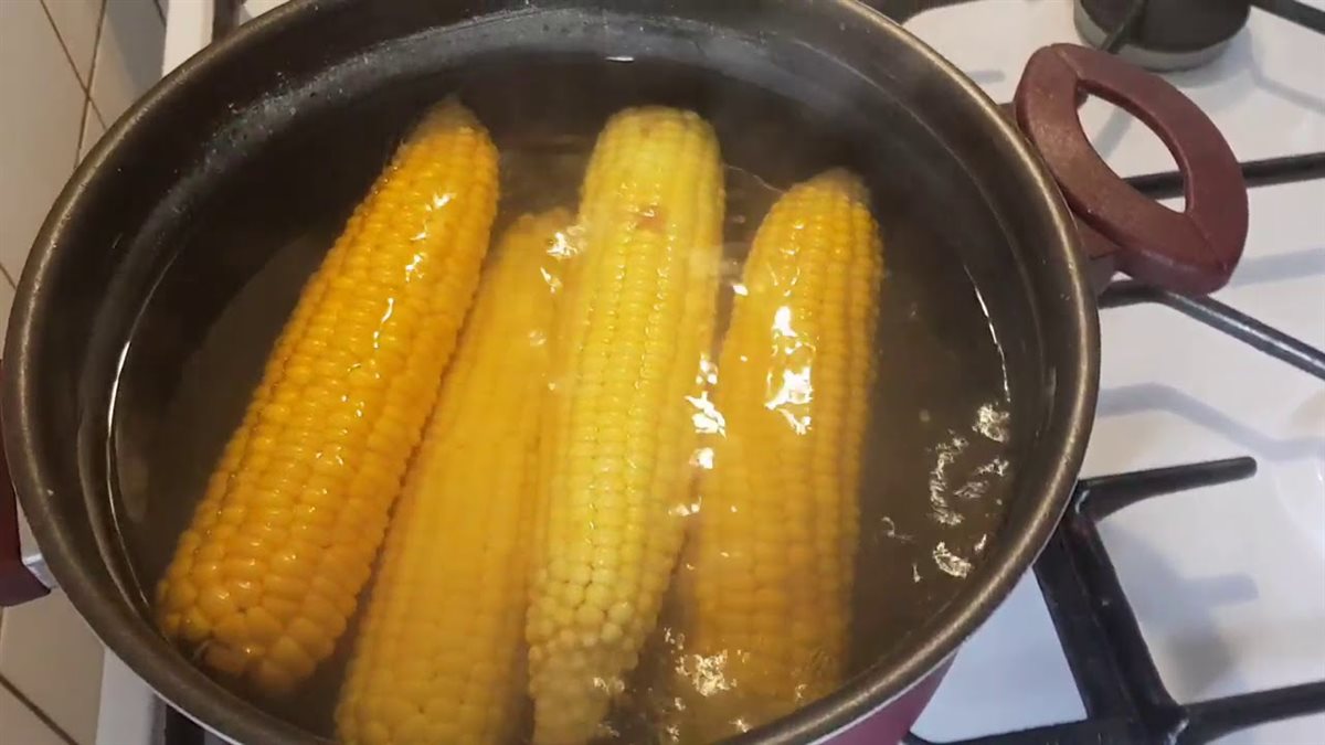 الذرة المسلوقة للصحة