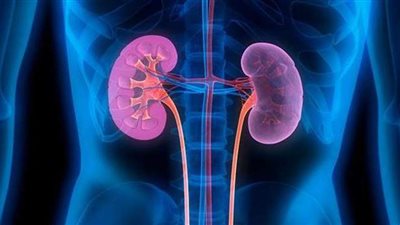 أعراض ارتفاع نسبة الأملاح بالجسم 