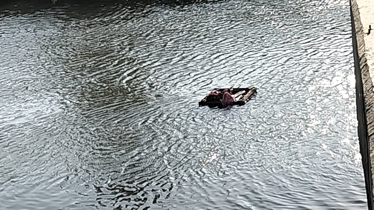 جانب من الحملة،فيتو