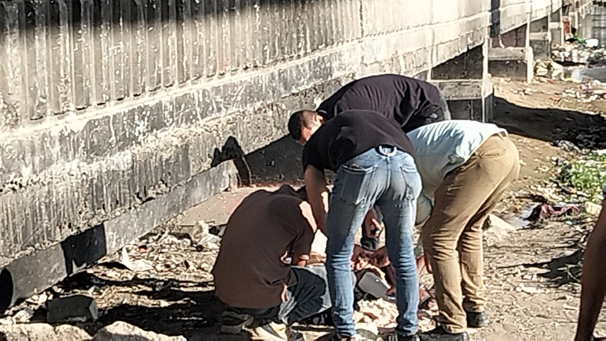 جانب من الحملة،فيتو