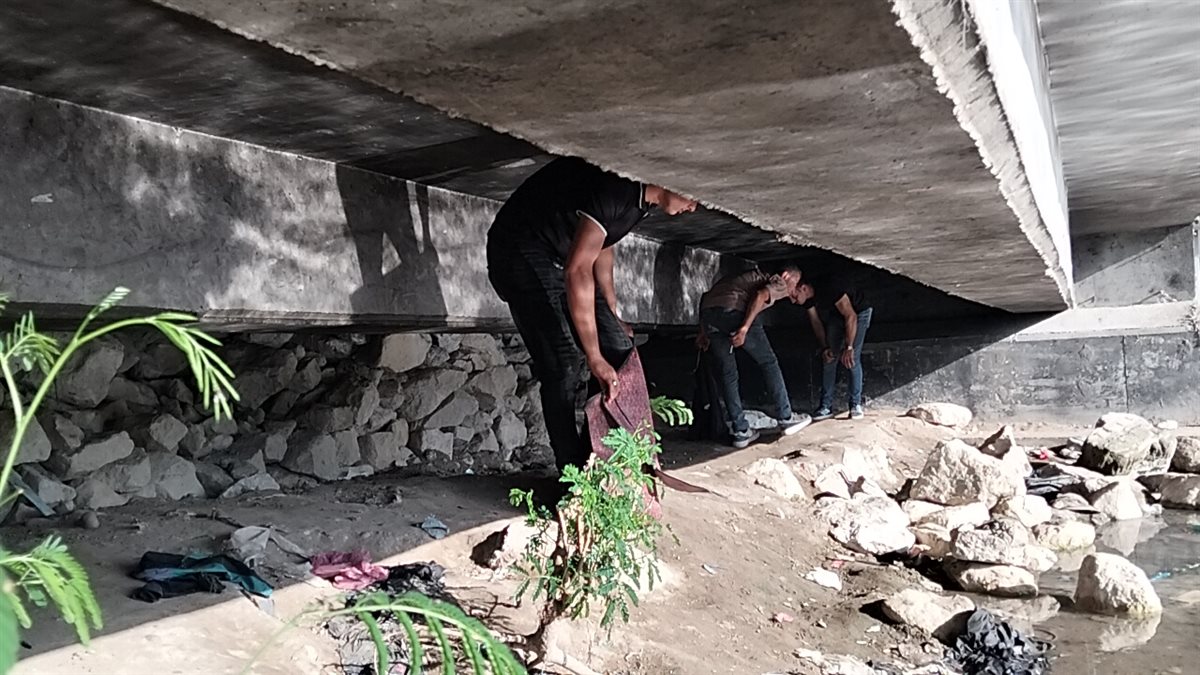 جانب من الحملة،فيتو