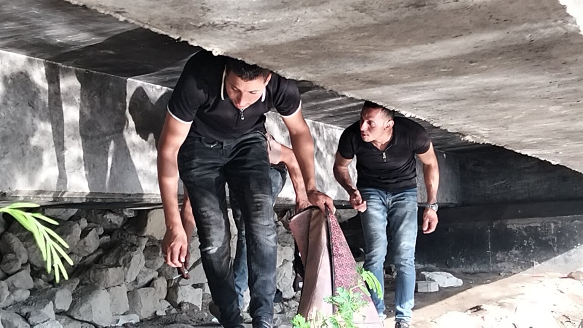 جانب من الحملة،فيتو