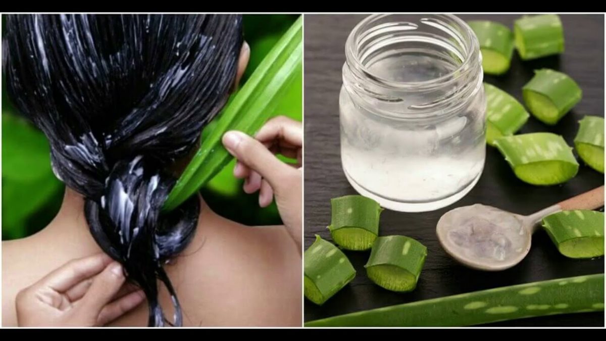 الصبار للشعر