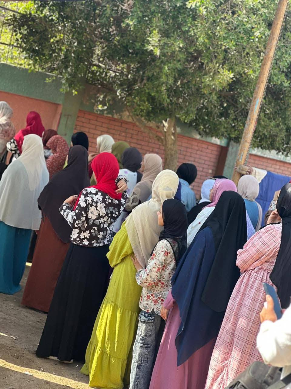 اعادة الشيوخ 2025 ببني سويف