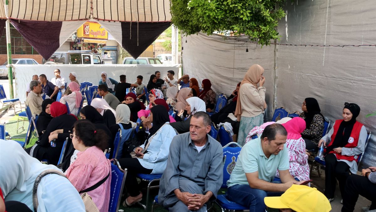 انتخابات مجلس الشيوخ، فيتو