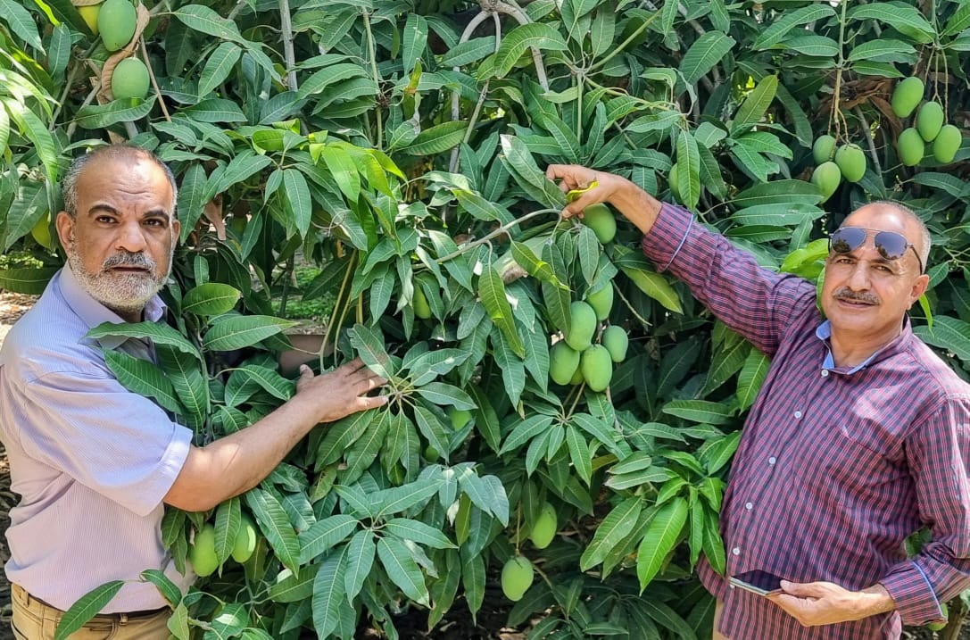 جانب من الحملة، فيتو