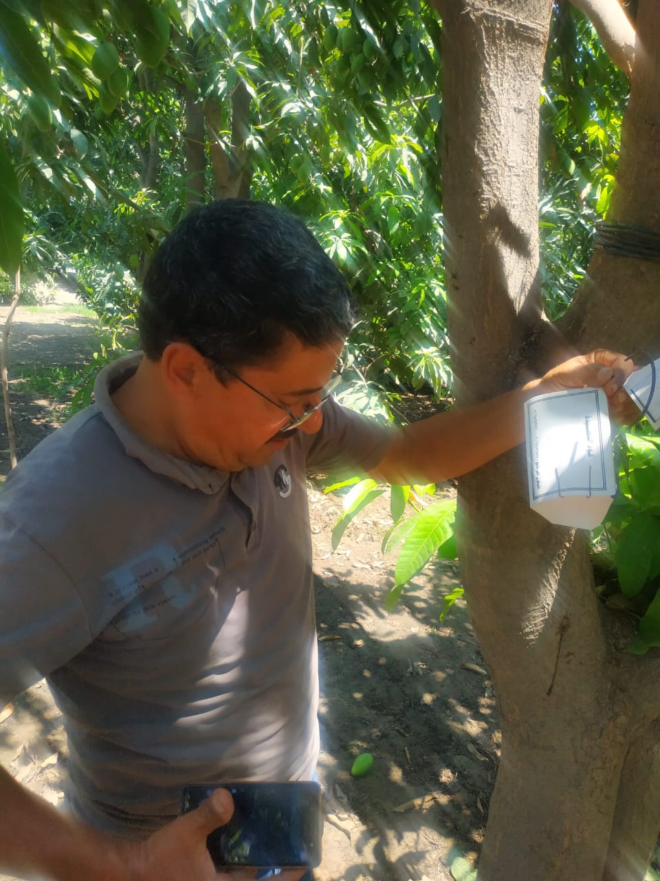 جانب من الحملة، فيتو