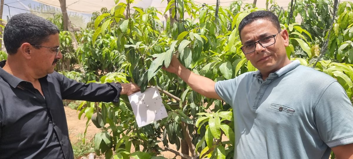 جانب من الحملة، فيتو